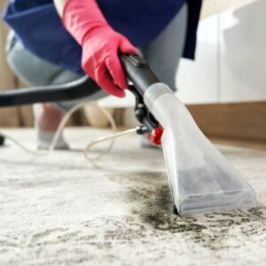 Practices for Cleaning Commercial Carpets